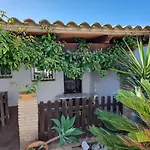 Estudios Con Piscina Compartida En Conil.