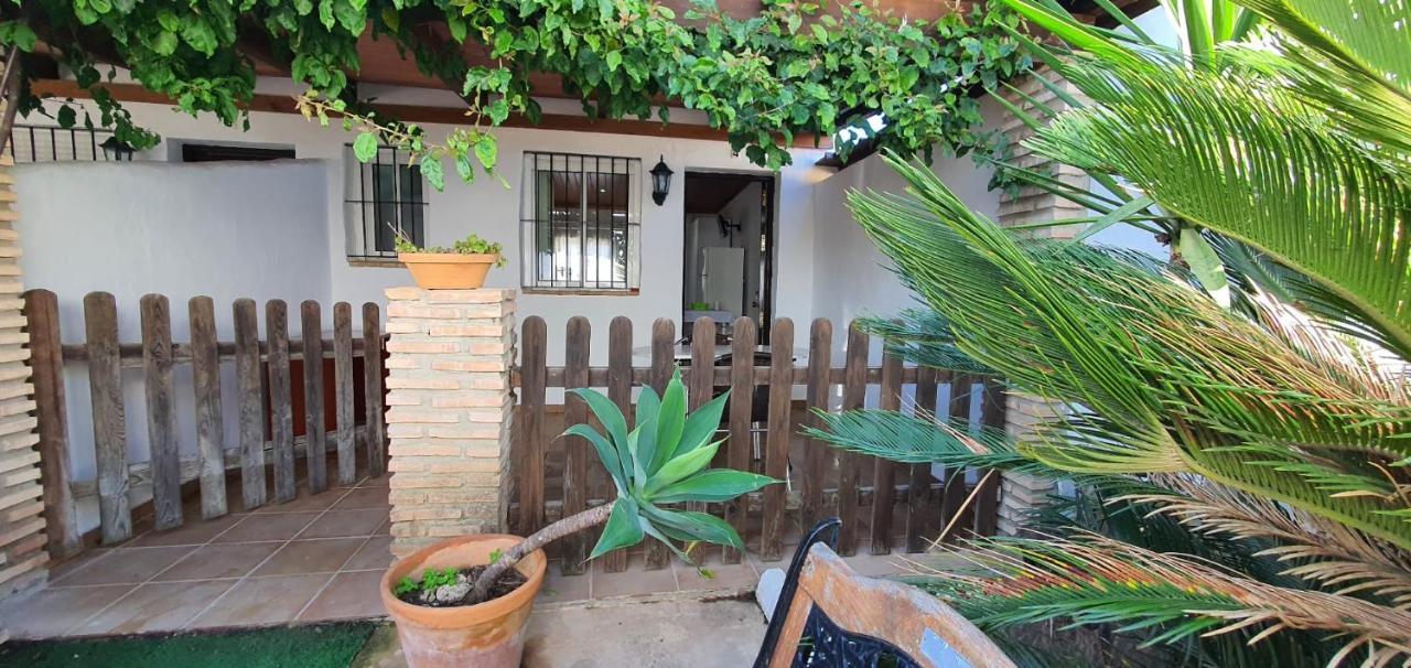 Estudios Con Piscina Compartida En Conil. * Cádiz